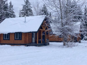 Log lofted rustic cabin in woods